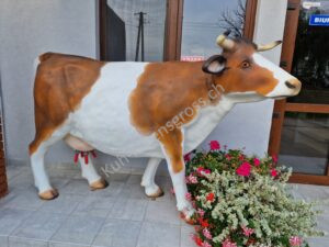 Kuh zum melken – Modell Diana braun / weiss